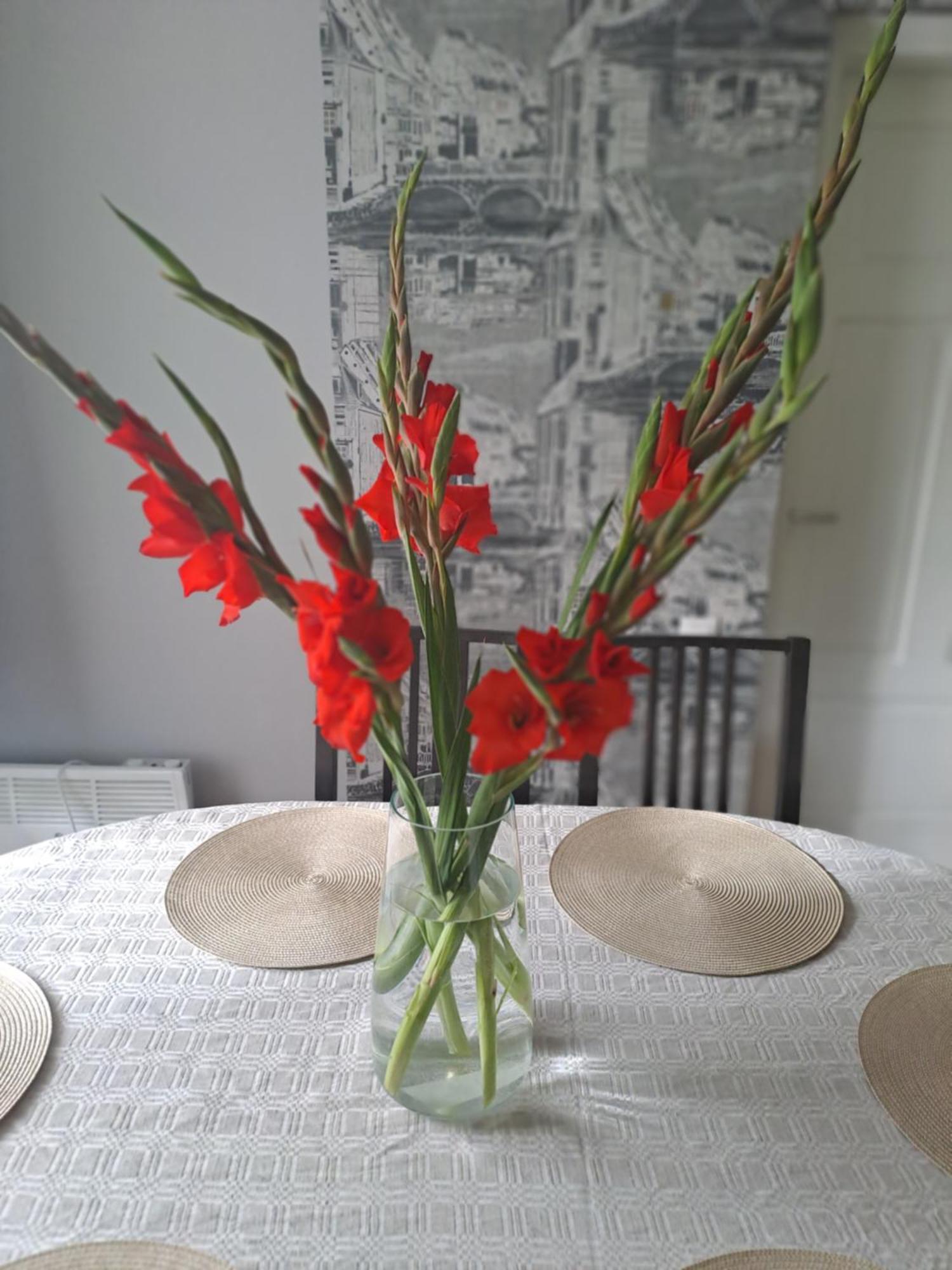 Kica Kroga Apartaments Ainaži Екстериор снимка